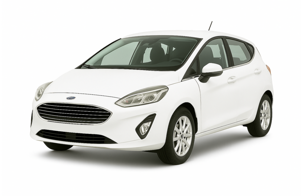 FORD FIESTA TITANIUM BUSINESS
